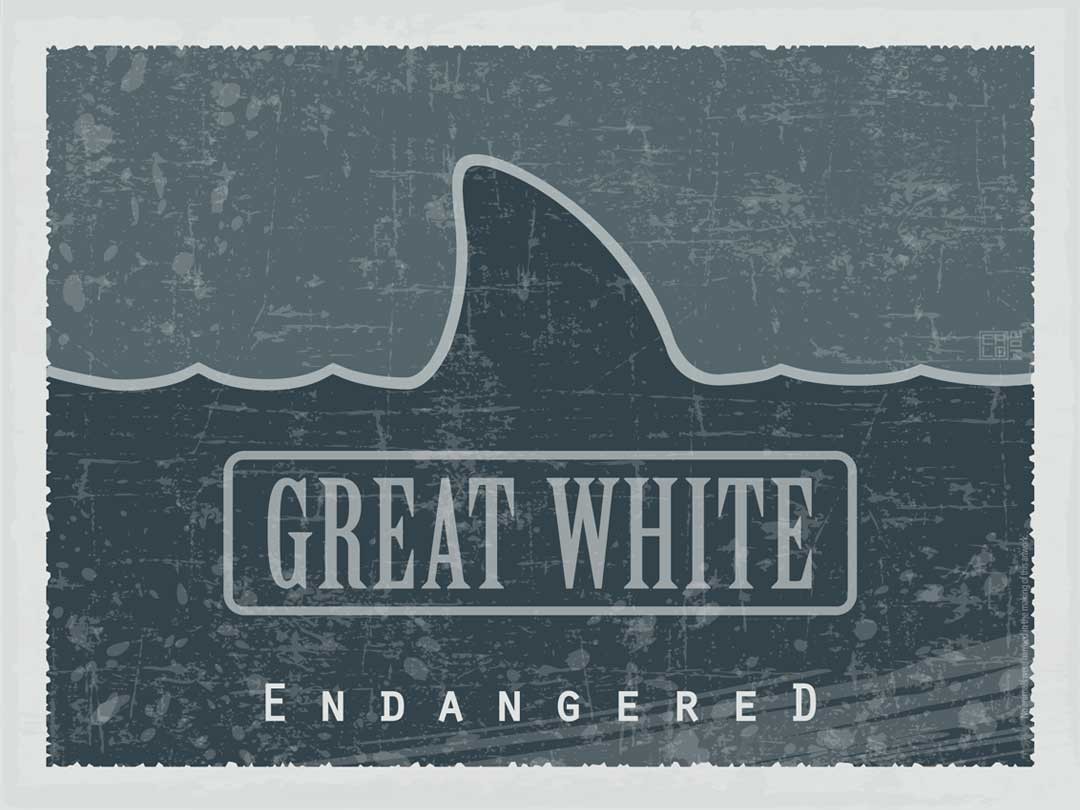 Great White - Endangered | Poster | Inside Gallery