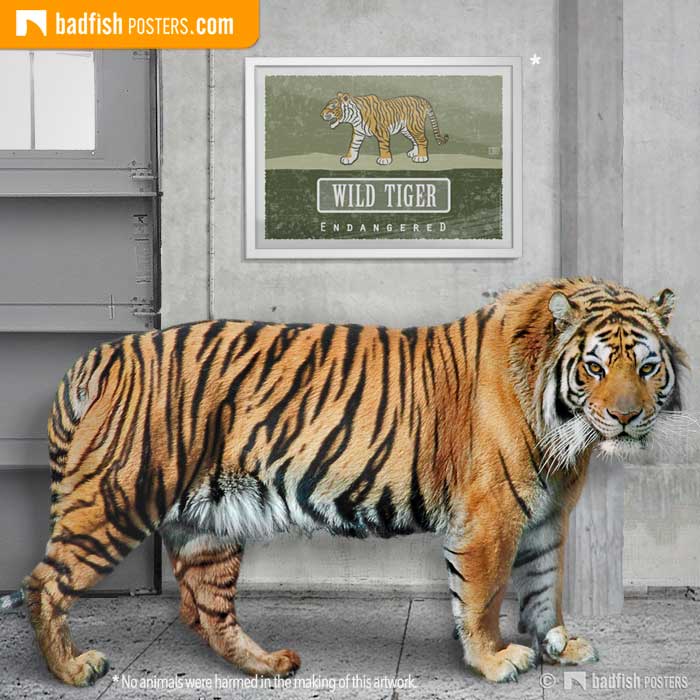 Wild Tiger – Endangered | Poster Blog