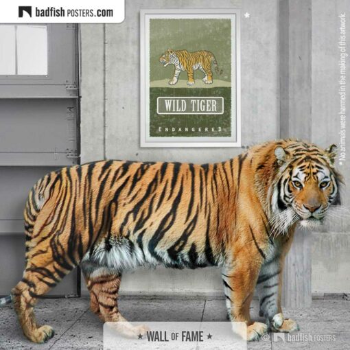 Wild Tiger | Endangered | Graphic Poster | Gallery Image | © BadFishPosters.com